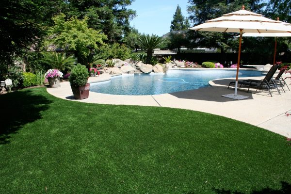 Realistic artificial bermuda grass